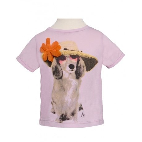 American Outfitters Hund mit Hut