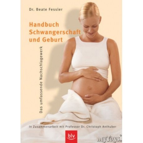 BLV BUCHVERLAG Handbuch Schwangerschaft und Geburt