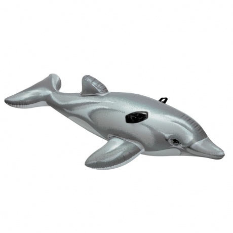 Reittier Kleiner Delphin